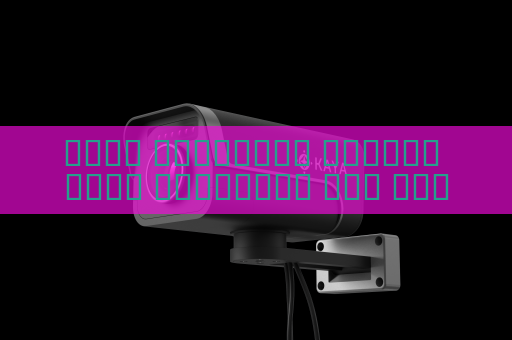 جهاز المراقبة البصري يحقق المراقبة على مدار الساعة في نقاط التفتيش رغم الظروف الجوية القاسية باستخدام التصوير في الظروف الجوية القاسية