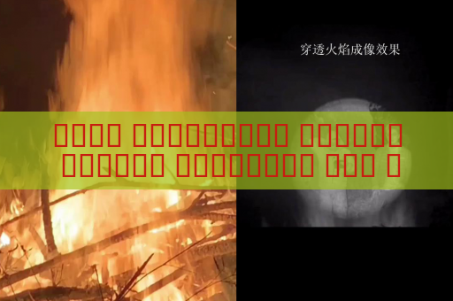 جهاز الاستطلاع البصري يستطلع المركبات ذات الزجاج المعتم للتعرف على الأشخاص والمحتويات بداخلها دون الاقتراب باستخدام التصوير عبر الزجاج