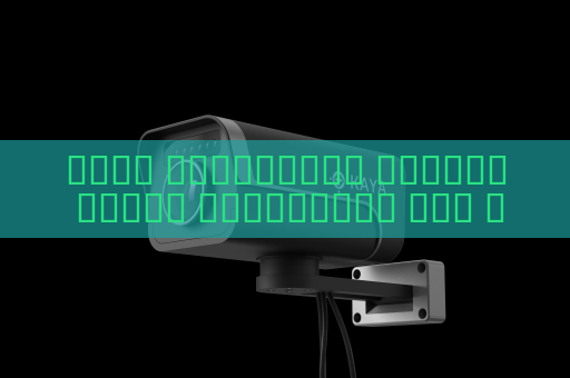 جهاز الاستطلاع البصري يتتبع المطلوبين دون انقطاع في الظروف الجوية القاسية باستخدام الرؤية في الضباب