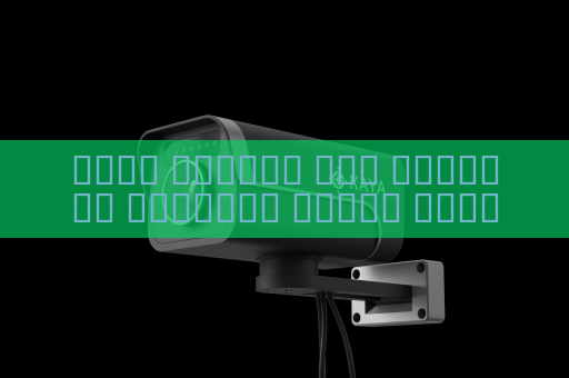 جهاز الرؤية عبر الوسائط البصرية يراقب محاولات العبور غير المشروع للحدود من مسافات بعيدة في الظروف الجوية القاسية باستخدام الرؤية في الضباب