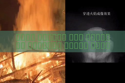 جهاز الرؤية عبر الوسائط البصرية يكتشف تحركات المشبوهين رغم الظروف الجوية القاسية باستخدام الرؤية في الضباب