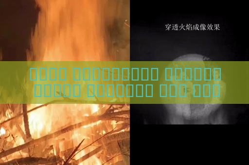 جهاز الاستطلاع البصري يكتشف الأهداف دون إضاءة إضافية باستخدام التصوير في الإضاءة المنخفضة دون أن يشعر الهدف