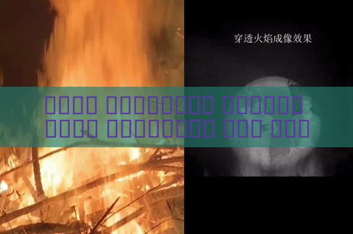 جهاز المراقبة البصري يفحص المركبات ذات الزجاج المعتم دون توقف باستخدام التصوير عبر الزجاج المعتم