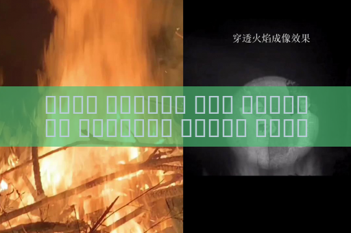 جهاز الرؤية عبر الوسائط البصرية يراقب السواحل رغم وهج الشمس باستخدام تثبيط الوهج