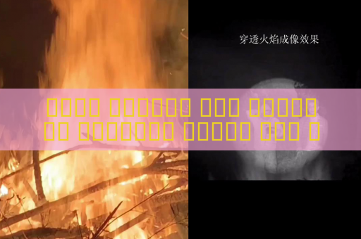 جهاز الرؤية عبر الوسائط البصرية يحافظ على قدرته في تأمين الحدود في الظروف الجوية القاسية باستخدام التصوير في الظروف الجوية القاسية