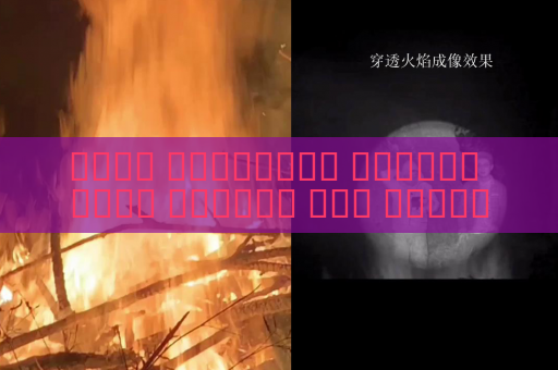 جهاز المراقبة البصري يحقق مراقبة غير مكتشفة لتحركات مركبات التهريب باستخدام التصوير عبر الزجاج المعتم