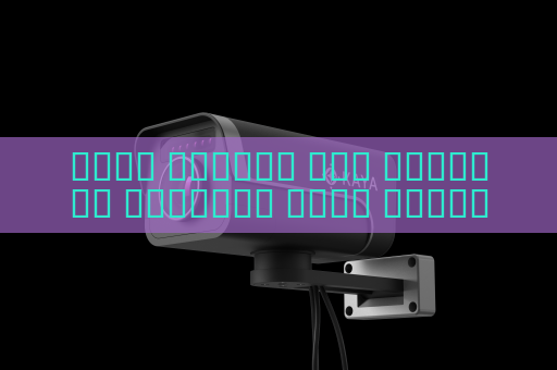 جهاز الرؤية عبر الوسائط البصرية يحقق مراقبة سرية على الحدود في الظلام الدامس باستخدام الرؤية الليلية دون كشف الموقع