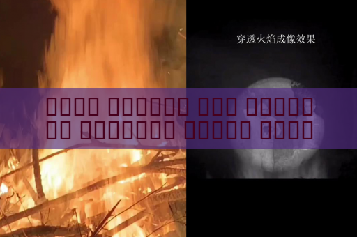 جهاز الرؤية عبر الوسائط البصرية يراقب محاولات العبور غير المشروع للحدود من مسافات بعيدة في الظروف الجوية القاسية باستخدام الرؤية في الضباب