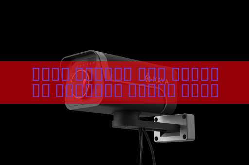 جهاز الرؤية عبر الوسائط البصرية يكتشف تحركات المشبوهين رغم الظروف الجوية القاسية باستخدام الرؤية في الضباب