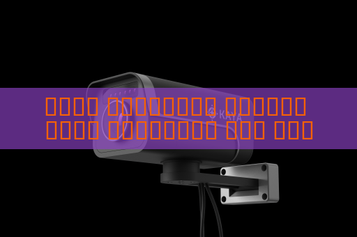 جهاز المراقبة البصري يحقق المراقبة على مدار الساعة في نقاط التفتيش رغم الظروف الجوية القاسية باستخدام التصوير في الظروف الجوية القاسية