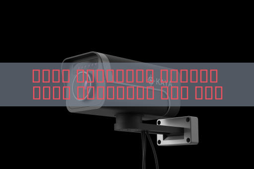 جهاز المراقبة البصري يحقق المراقبة على مدار الساعة في نقاط التفتيش رغم الظروف الجوية القاسية باستخدام التصوير في الظروف الجوية القاسية