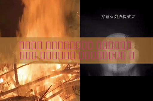 جهاز المراقبة البصري يرى السائق والمركبة في الظلام دون إضاءة إضافية باستخدام التصوير في الإضاءة المنخفضة