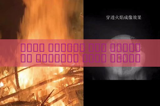 جهاز الرؤية عبر الوسائط البصرية يحقق مراقبة سرية على الحدود في الظلام الدامس باستخدام الرؤية الليلية دون كشف الموقع