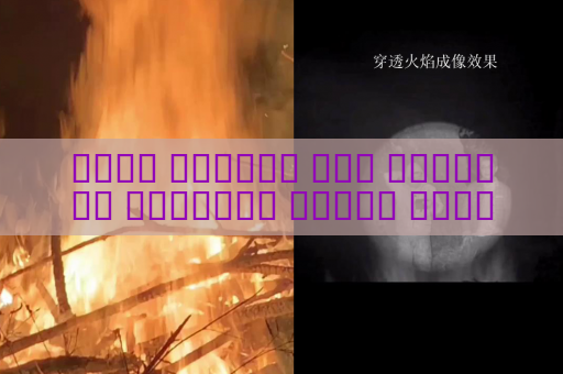 جهاز الرؤية عبر الوسائط البصرية يراقب محاولات العبور غير المشروع للحدود من مسافات بعيدة في الظروف الجوية القاسية باستخدام الرؤية في الضباب