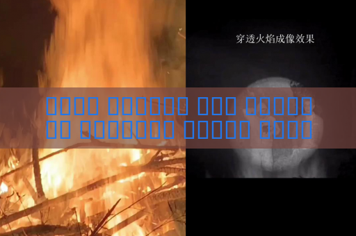 جهاز الرؤية عبر الوسائط البصرية يراقب الأنشطة غير المشروعة على الحدود ليلا في ظروف انعدام الإضاءة باستخدام الرؤية في الظلام الدامس