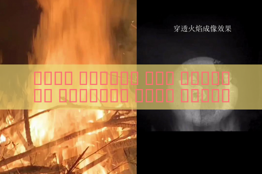 جهاز الرؤية عبر الوسائط البصرية يمكن المراقبة البحرية رغم الضباب البحري باستخدام الرؤية في الضباب