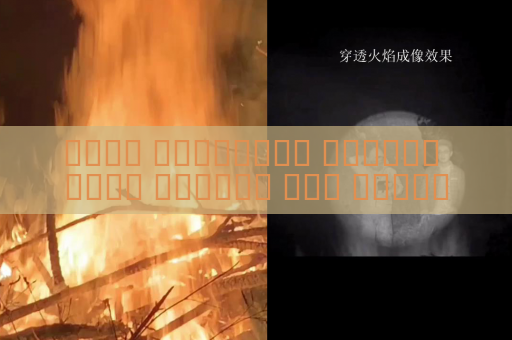 جهاز المراقبة البصري يحقق مراقبة غير مكتشفة لتحركات مركبات التهريب باستخدام التصوير عبر الزجاج المعتم