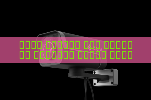 جهاز الرؤية عبر الوسائط البصرية يكتشف تحركات المشبوهين رغم الظروف الجوية القاسية باستخدام الرؤية في الضباب